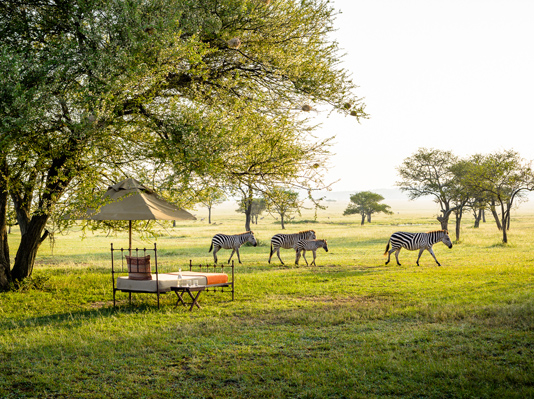 singita sabora - luxury safaris in kenya and tanzania